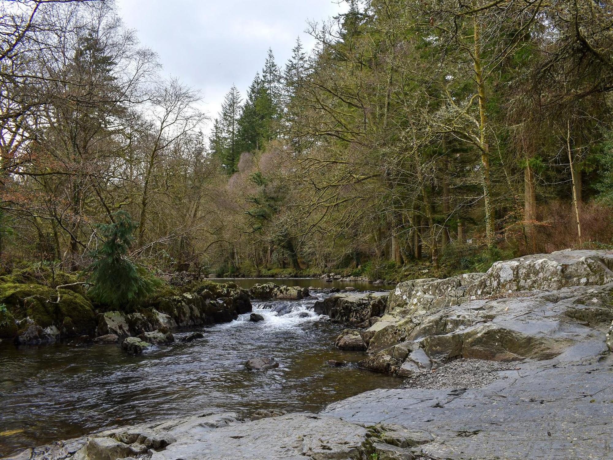 Uk32422 - 4 Banc Llugwy Betws-y-Coed Exterior foto